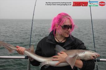12 lb Starry Smooth-hound by Laura