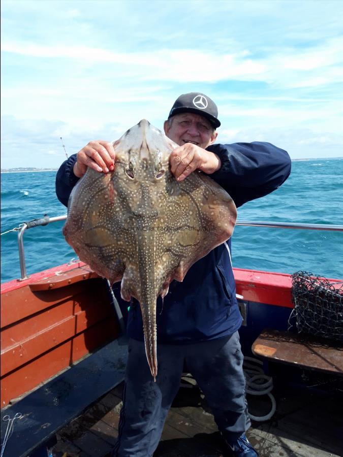 15 lb Undulate Ray by Loyal Angler Chris Saville from Swindon