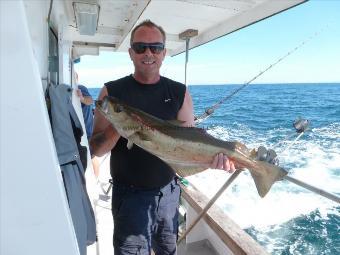 11 lb 8 oz Pollock by michael button