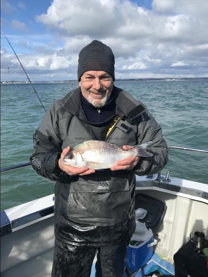 1 lb Black Sea Bream by Andy