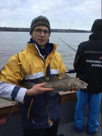 2 lb 4 oz Cod by Unknown