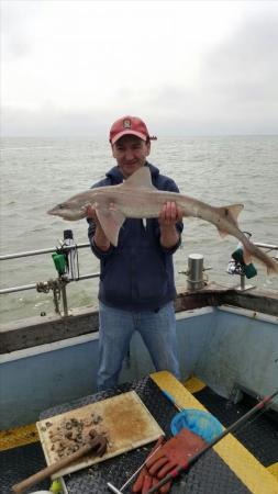 11 lb 2 oz Smooth-hound (Common) by Brian Forsyth