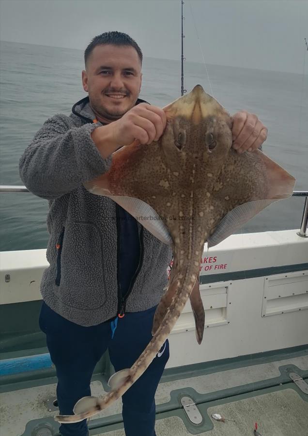 5 lb 8 oz Thornback Ray by Unknown