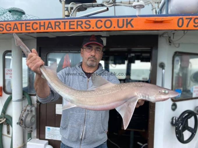 13 lb Smooth-hound (Common) by Unknown