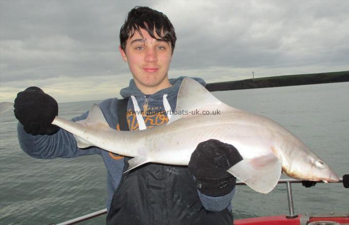 8 lb Smooth-hound (Common) by Unknown