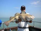 13 lb 8 oz Cod by herne bay boys