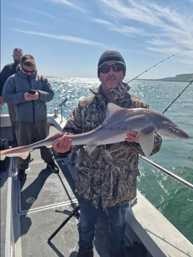 10 lb Smooth-hound (Common) by Ian