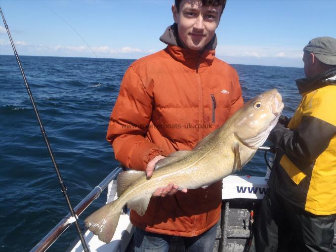 7 lb 3 oz Cod by Unknown