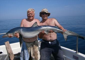 73 lb Blue Shark by Phil Robinson