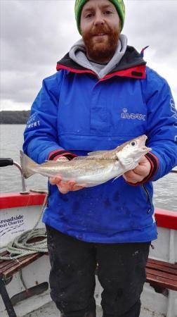 1 lb 8 oz Whiting by Mike Bolton
