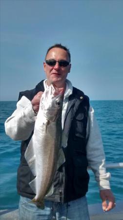 5 lb 2 oz Pollock by Rob Lucas