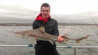 8 lb 10 oz Starry Smooth-hound by Unknown
