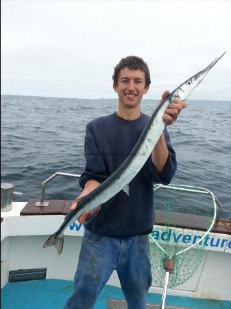 3 lb 2 oz Garfish by Liam Faisy