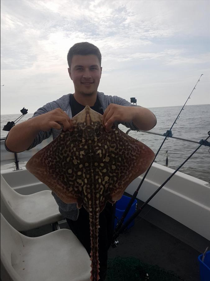 6 lb Thornback Ray by Ollie