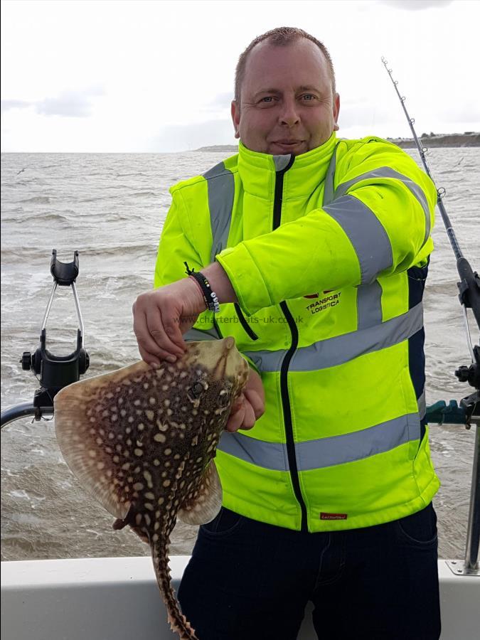 3 lb Thornback Ray by Roland