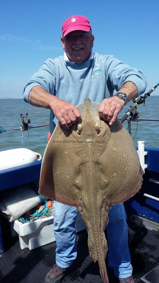 14 lb Blonde Ray by BP