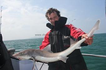 10 lb Starry Smooth-hound by Arron