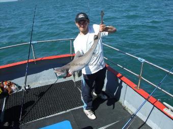 12 lb Smooth-hound by Unknown
