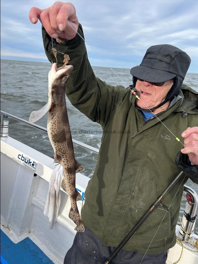 1 lb 14 oz Lesser Spotted Dogfish by Stan.