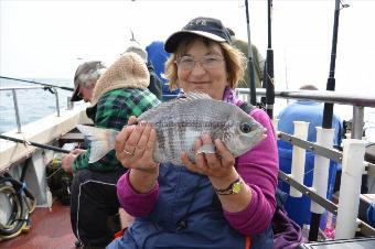 3 lb Black Sea Bream by Stephen Wake