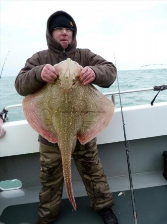 14 lb Undulate Ray by Jonny Grummet