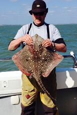 14 lb 8 oz Thornback Ray by Steve Davies