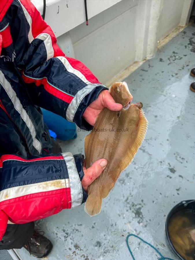 1 lb 2 oz Dover Sole by Terry