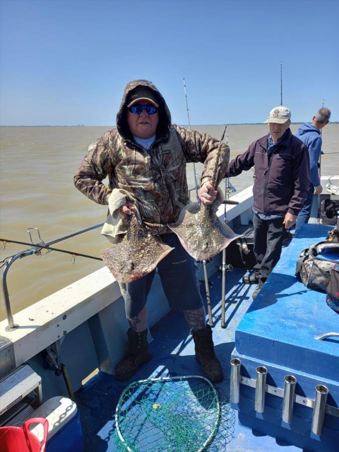 4 lb Thornback Ray by Unknown