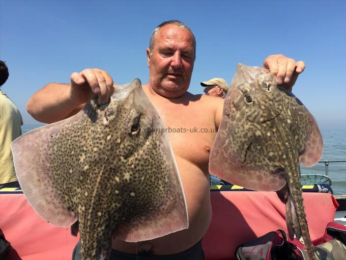 7 lb Thornback Ray by Unknown