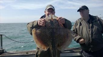 13 lb Thornback Ray by Unknown