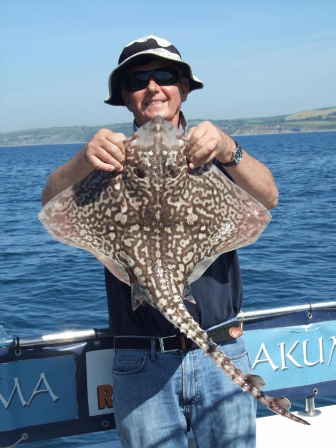 8 lb 8 oz Thornback Ray by David Metcalf