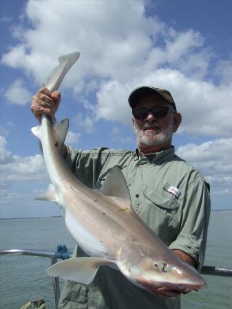 1 oz Smooth-hound (Common) by dave