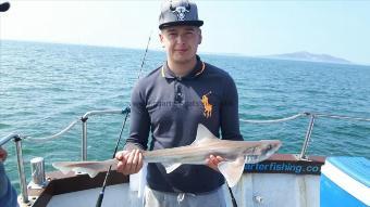 5 lb 5 oz Starry Smooth-hound by Ryan