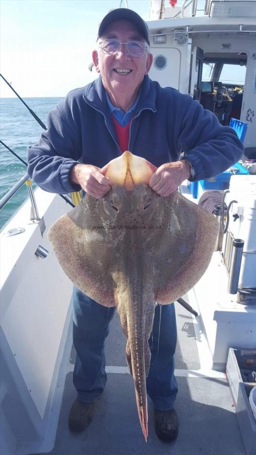 19 lb Blonde Ray by Arthur