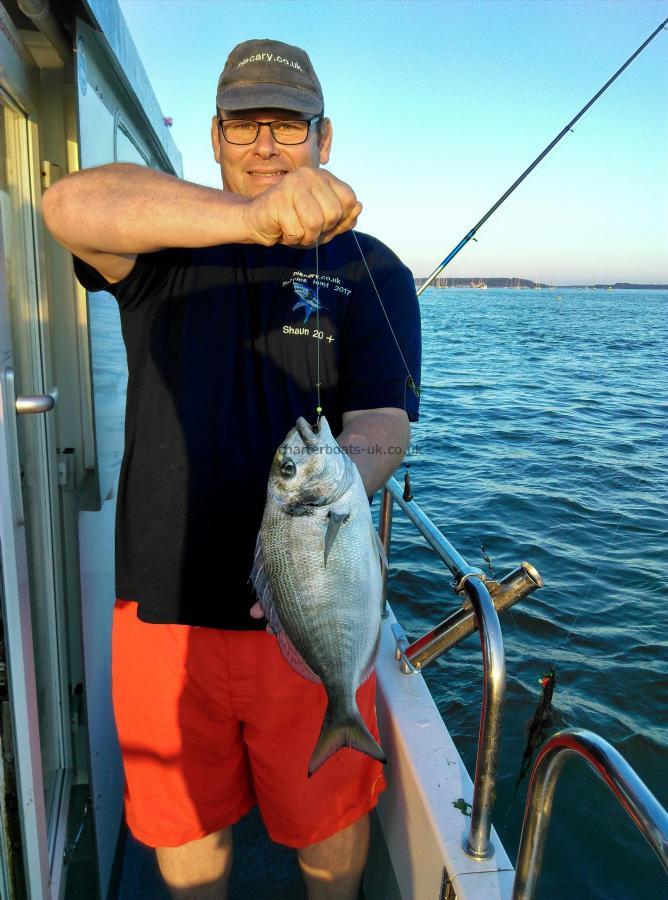 2 lb 2 oz Gilt-head Sea Bream by Shaun Collins Lindsay