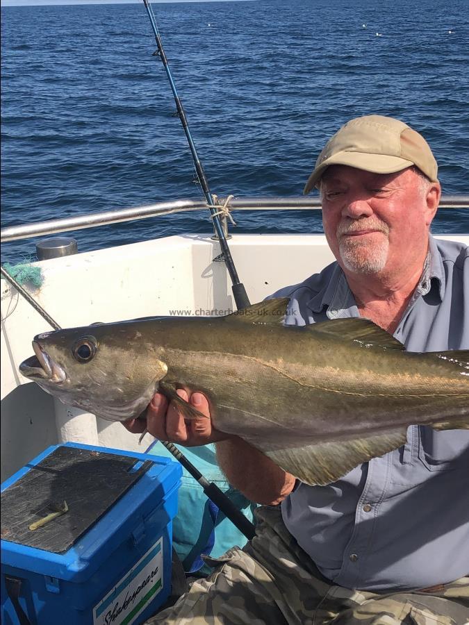 7 lb Pollock by Unknown