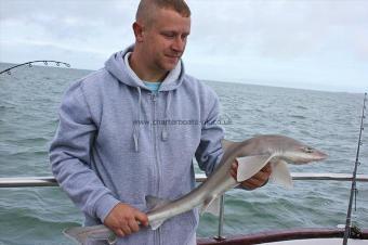 4 lb Smooth-hound by Martyn