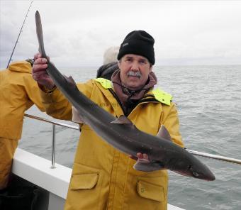 11 lb 8 oz Spurdog by Dave Shapland