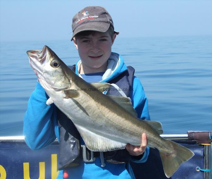 7 lb 4 oz Pollock by Alex Canham