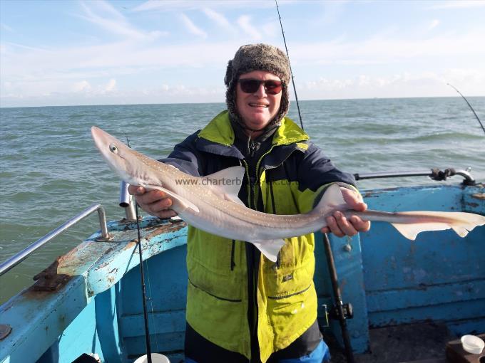 6 lb Smooth-hound by Andy