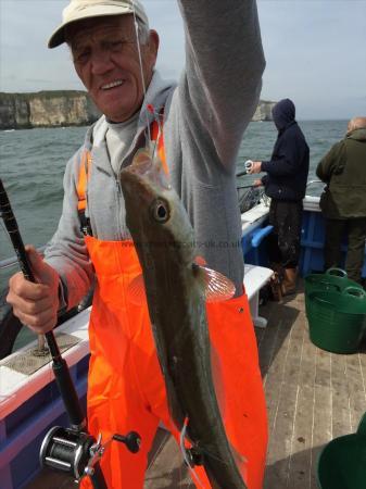4 lb Pollock by erico on the pollock again10th may 2015