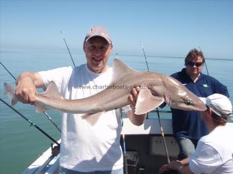 13 lb 3 oz Starry Smooth-hound by Chris Brittle