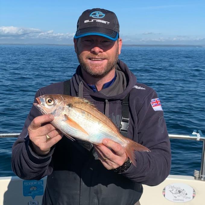 1 lb 12 oz Red Sea Bream by Al M