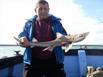 6 lb 2 oz Starry Smooth-hound by Peter