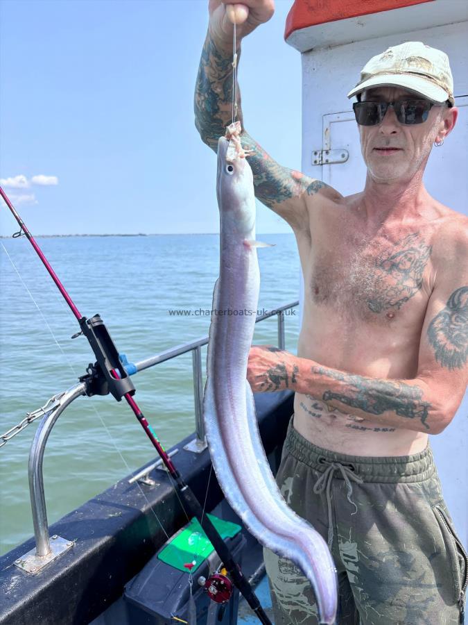 4 oz Conger Eel by Simon