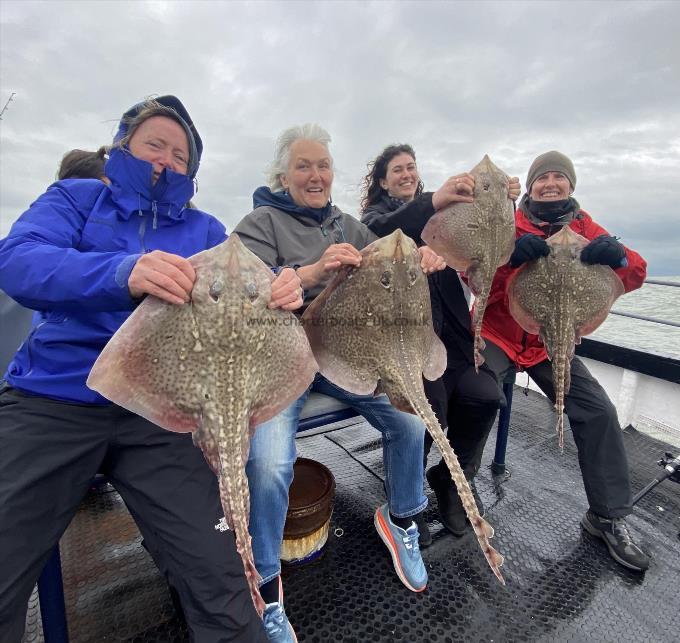 12 lb Thornback Ray by Unknown