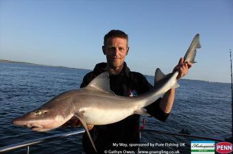 23 lb 4 oz Starry Smooth-hound by Crads