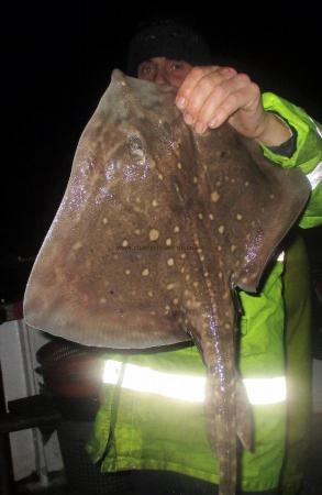 5 lb Thornback Ray by Fen duke Skipper