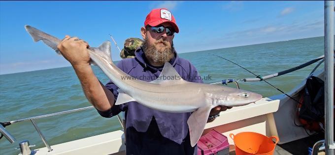 9 lb Smooth-hound by Dave