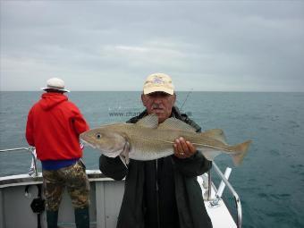 8 lb Cod by Colin Carstens